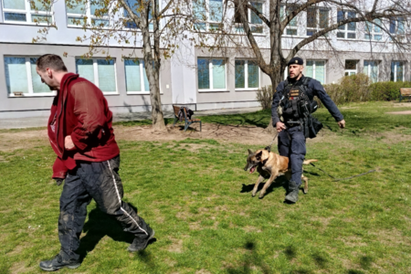 Ukázka výcviku policejních psů – akce ŠD